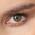 Nui Cosmetics Přírodní sametové vysoce pigmentované kompaktní oční stíny